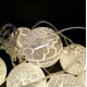 Гірлянда-нитка Activepower String light Ліхтарик 10 LED Кулька